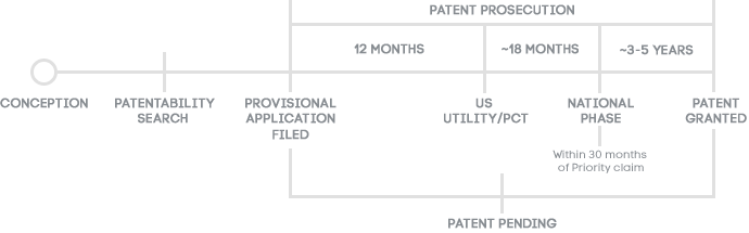 Patent Timeline