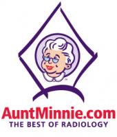 Aunt Minnie Logo