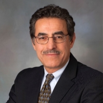 Ahmad Soltani, PhD, MBA, CPSM